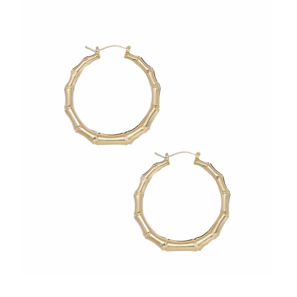 Bamboo 18kt Gold Plated Hoop Earrings - Picture 2 of 5